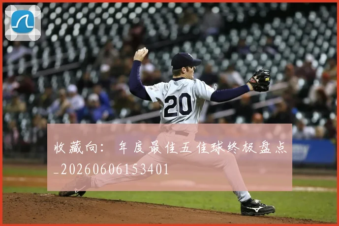 收藏向:年度最佳五佳球终极盘点_20260606153401